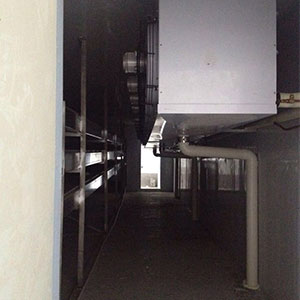 �ك�����