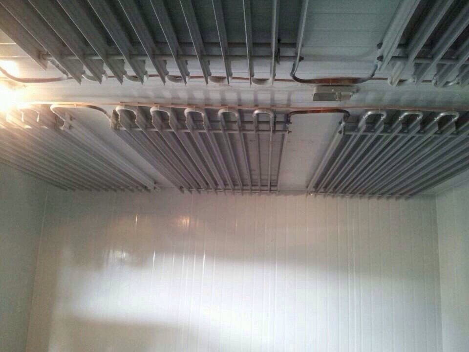 �X�������