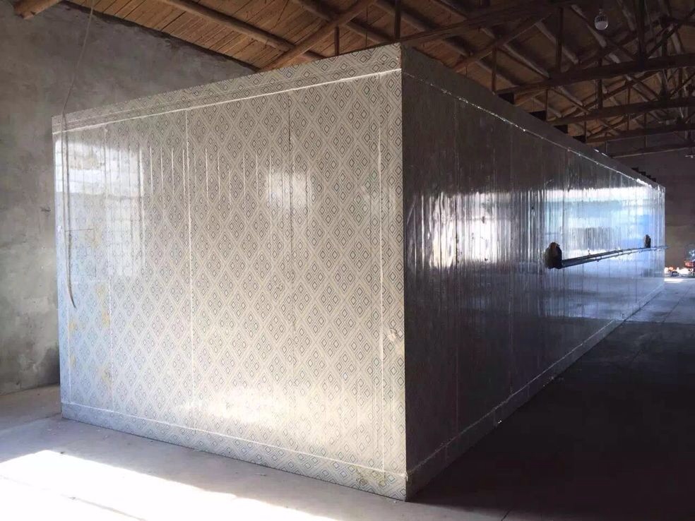 ����50��Ó�z��