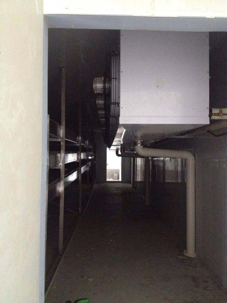 �ك�����